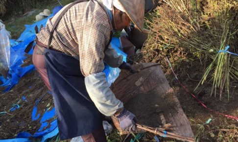 2018karitori04